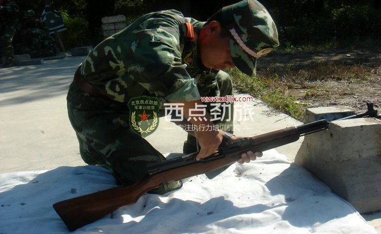 实弹射击(图4)